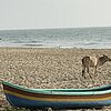 IMG_0369
