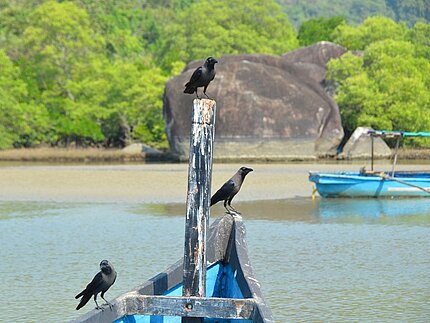 Hover Zoom brightness