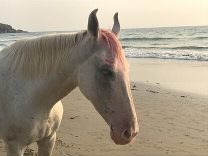 8qZIhWE9TC6H4sYm64rwbA