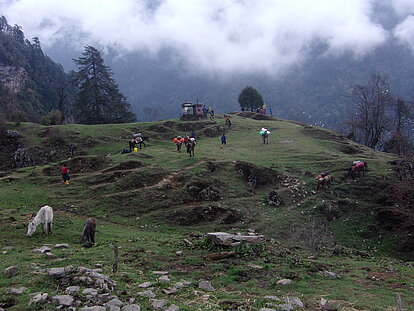 image-682