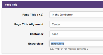 BE Modul "T3SB Config" hier "Page Title" Page Title