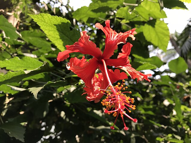 b3rTOjcyQzyJdLEGi0N_0w