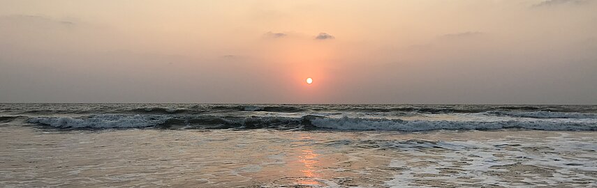 IMG_0233