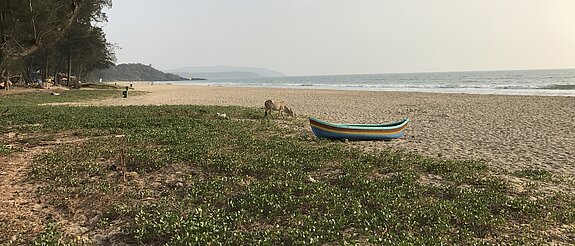 IMG_0365