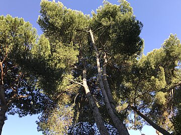 IMG_0514